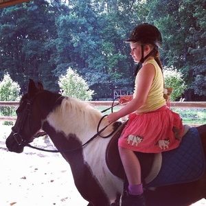 Mini Boden Pony Pink Skirt 11/12